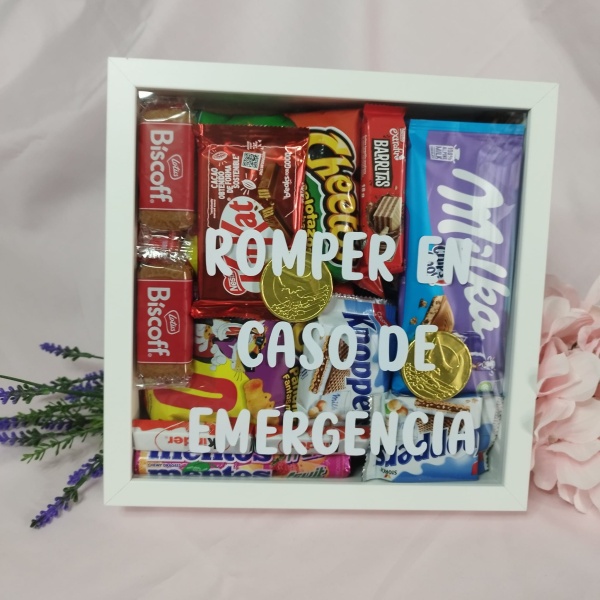 ROMPER EN CASO DE EMERGENCIAS( VACIO)