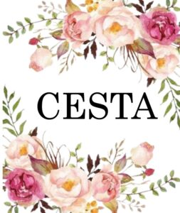 Cesta